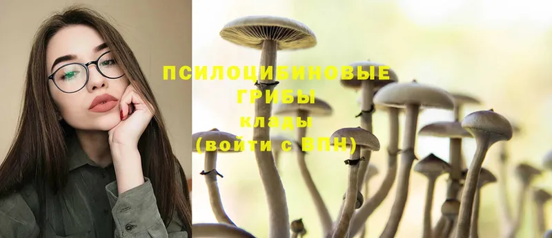 Псилоцибиновые грибы Magic Shrooms  Александровск 